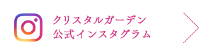 公式インスタグラムページ