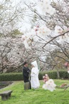 サプライズがいっぱい♡とても楽しい結婚式になりました！